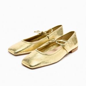 Zara Ballet Flat with Bow